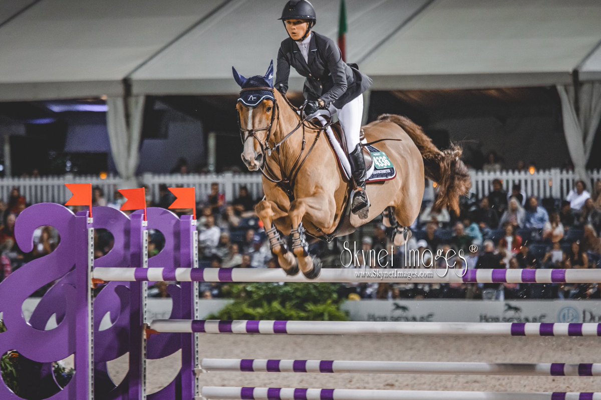 OlympianExpress's tweet photo. OlympianExpress™️|Forever(i)Fly|
A jump isn’t just a jump, go ahead and ask my horse that. Life is full of ups and downs but sometimes you need just a little push and a sprinkle of “believing in yourself” to make it all workout.#equestrian #horse #horses #canon #canonphotography https://t.co/gNoWroYY07