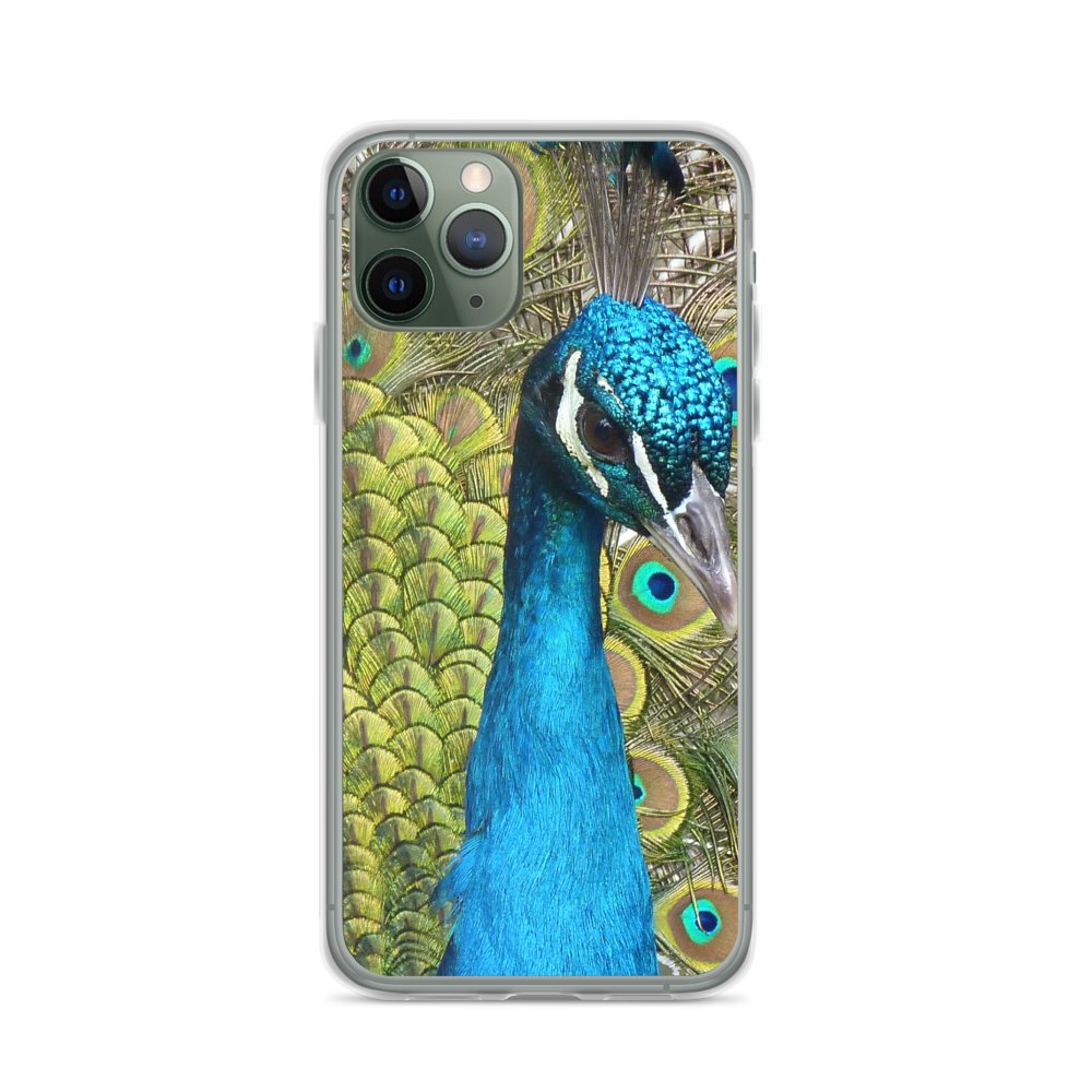 PlayTheMove's tweet photo. Peacock Bird https://t.co/4H4UjdF3nw #PlayTheMove #Art #FreedomOfArt https://t.co/BRoCZsT7i4