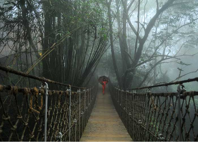 LiveKerala_com's tweet photo. Listen closely, the sounds of silence are echoing within you. #closetonature #vythiriresort #wayanad #natureexperience https://t.co/qlHJ4NtFQg