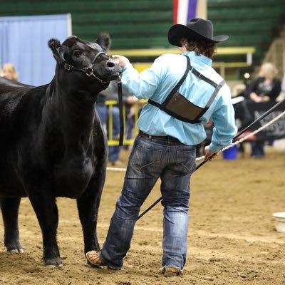 ColtonBarton4's tweet photo. #NewProfilePic https://t.co/5VYu5rqAVo