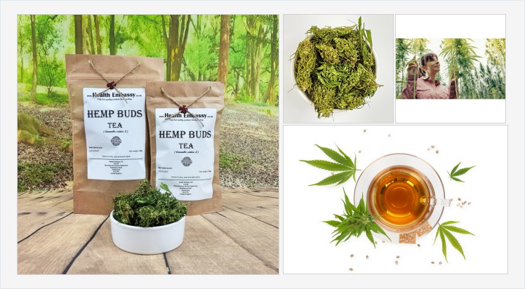HealthEmbassy's tweet photo. #HempBudsTea #Cannabissativa #hemp #cbd #hempbuds #organichemp #cannabis #hemptea #HealthEmbassy #herbs #herbsuk #herbsonline #organicherbs #natural #vegan #vegetarian #organic #herbaltea #naturaltea #healthytea #infusion #tea #organictea #herbalremedy https://t.co/Vuw6J8CVTN https://t.co/nPeoNL0AEm