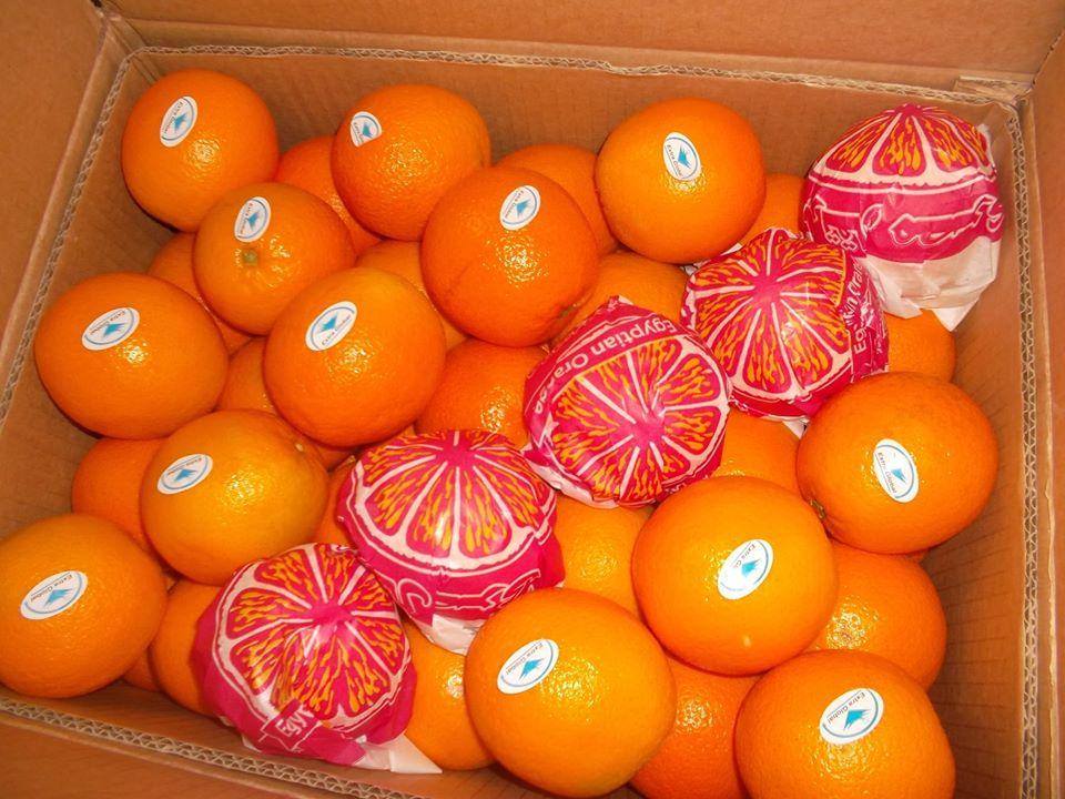 CrescoFoods's tweet photo. Our fresh delicious Egyptian orange is now available to be exported.

Contact us #Crescofoods today for a quotation.

#worldwideshipping #shippingworldwide #orange #freshproduce #freshproducesupplier #Egyptian #crescoproduce #premiumgrade #foodtrading #Bangkok https://t.co/oPREBTzB69