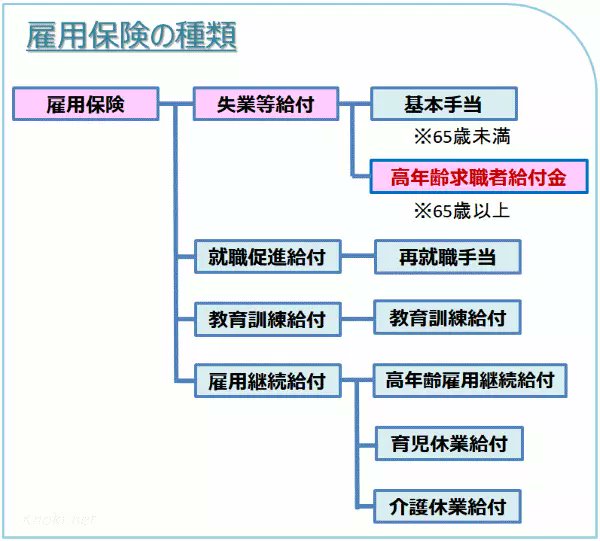 高 年齢 求職 者 給付 金