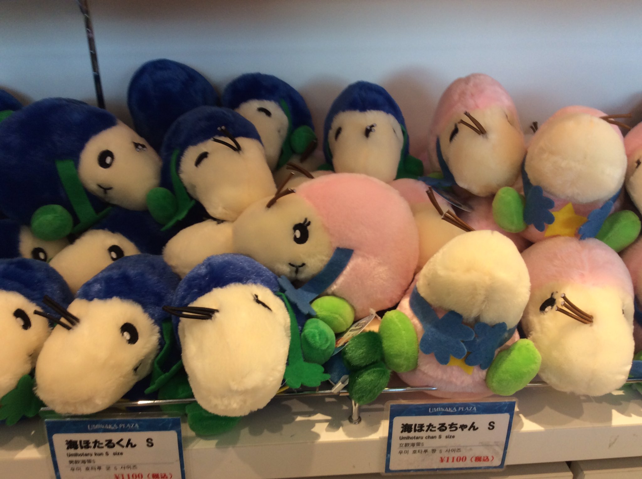 海ほたるパーキングエリア 海ほたるくん 海ほたるちゃんグッズ です 可愛らしい商品を多数取り揃えております 是非皆様のお越しをお待ちしております T Co Ozrypqrp7m Twitter