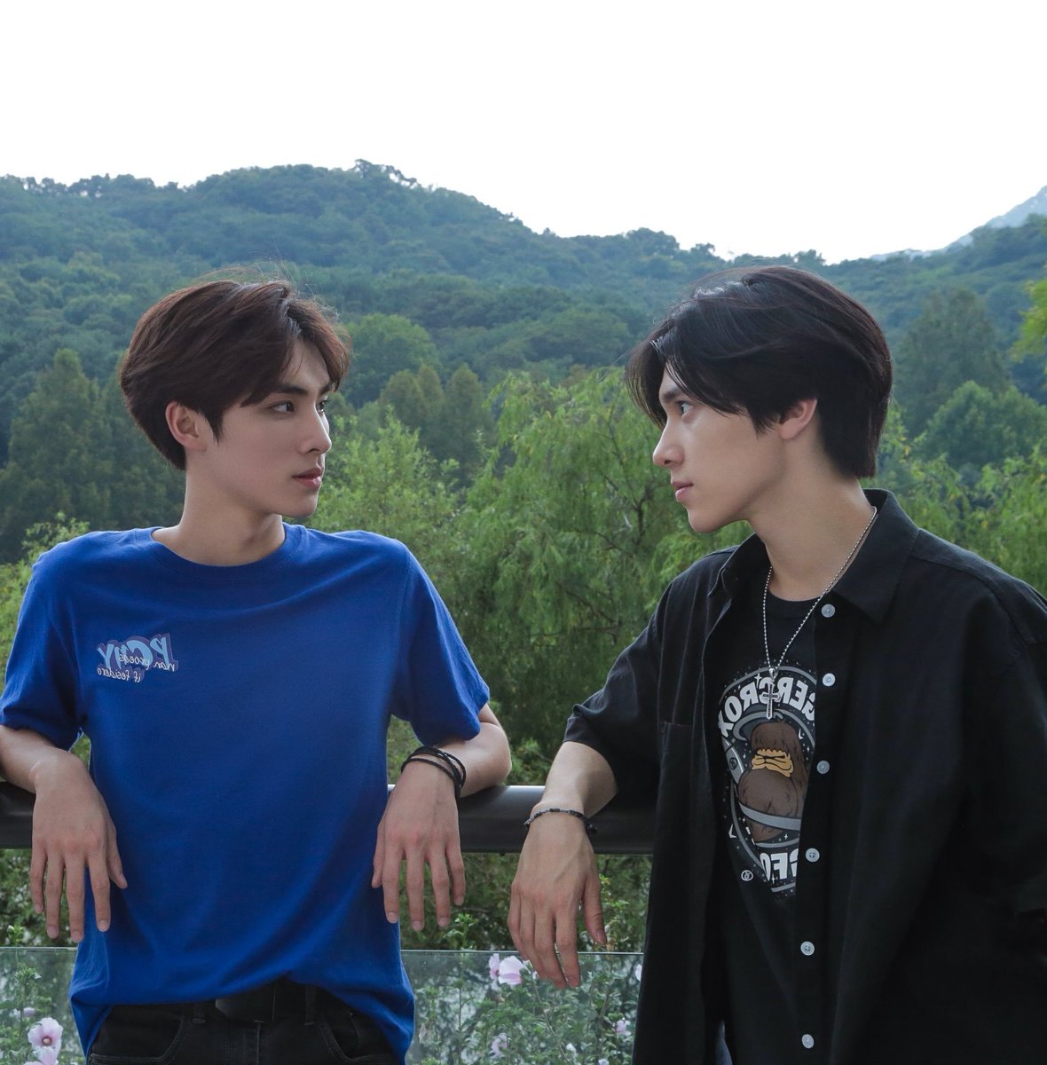 Pink dragon that’s in love with donkey 💗💗💗💗💚💚💚💚