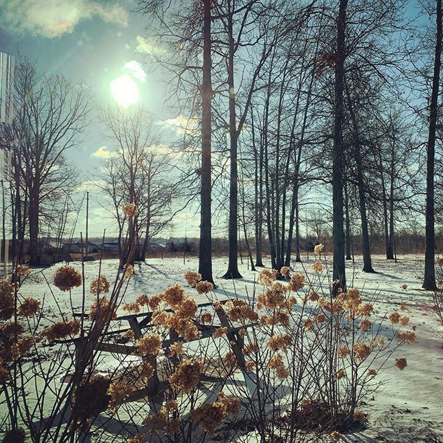 Still loving the snow. Oh, What a beautiful morning... ift.tt/2RNQ8un