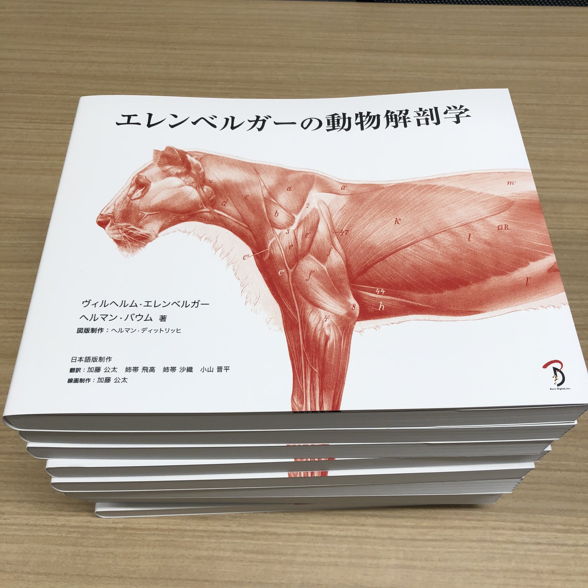 伊豆の美術解剖学者 エレンベルガーの動物解剖学 実物が届きました 発売は1 31 動物を表現するあらゆるアーティストにとって良いリファレンスとなりますように