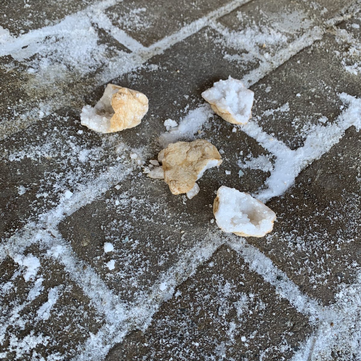 jessheps's tweet photo. Launched our #integrated grade 9 program, #GeODES, with... geodes this morning. Excited to spend this semester exploring best practices and learning alongside a great group of students and colleagues @RosseauLake. #RLClearns #getoutside https://t.co/XN2lSw9O2F
