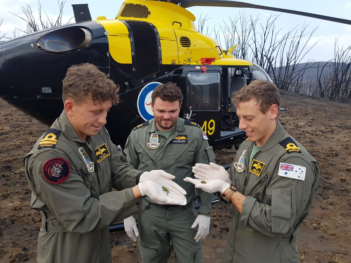 Australian_Navy's tweet photo. EC135 helicopter crew members Lieutenant Thomas Snow, Leading Seaman Jacob Williams & Sub Lieutenant Adrian Pace support work to check on the habitats of the critically endangered Southern Corroboree Frog in the Brindabella Ranges, ACT, as part of #OpBushfireAssist.
#AusNavy https://t.co/Zoo9ZnKHAg