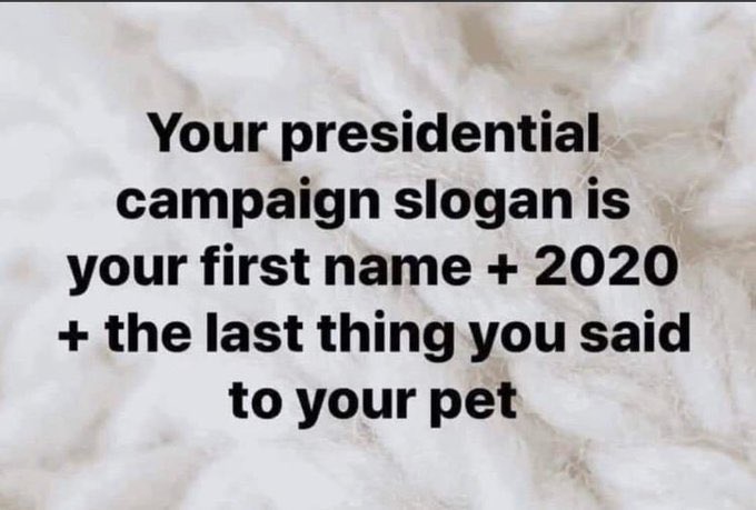 Gwenda 2020: Excuse me, that’s my boob. 

🤷‍♀️