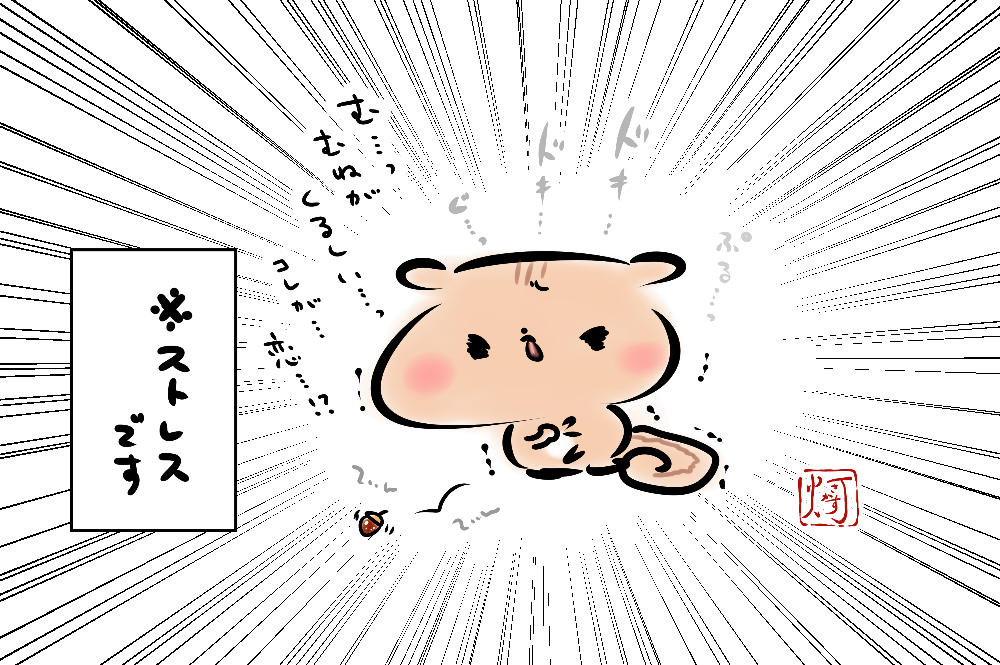 メンタル絹豆腐&木綿豆腐リス先輩も…!
#ましまろうじゃない
#メンタル絹豆腐リス
#リスの日