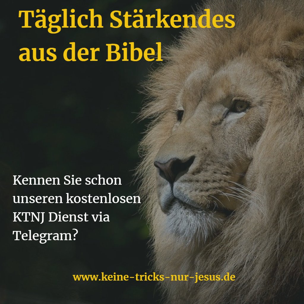 Bibelworte's tweet photo. Jede Menge sicherer Hoffnung https://t.co/zZFvVg09t5 https://t.co/Zyg1WOpeOl