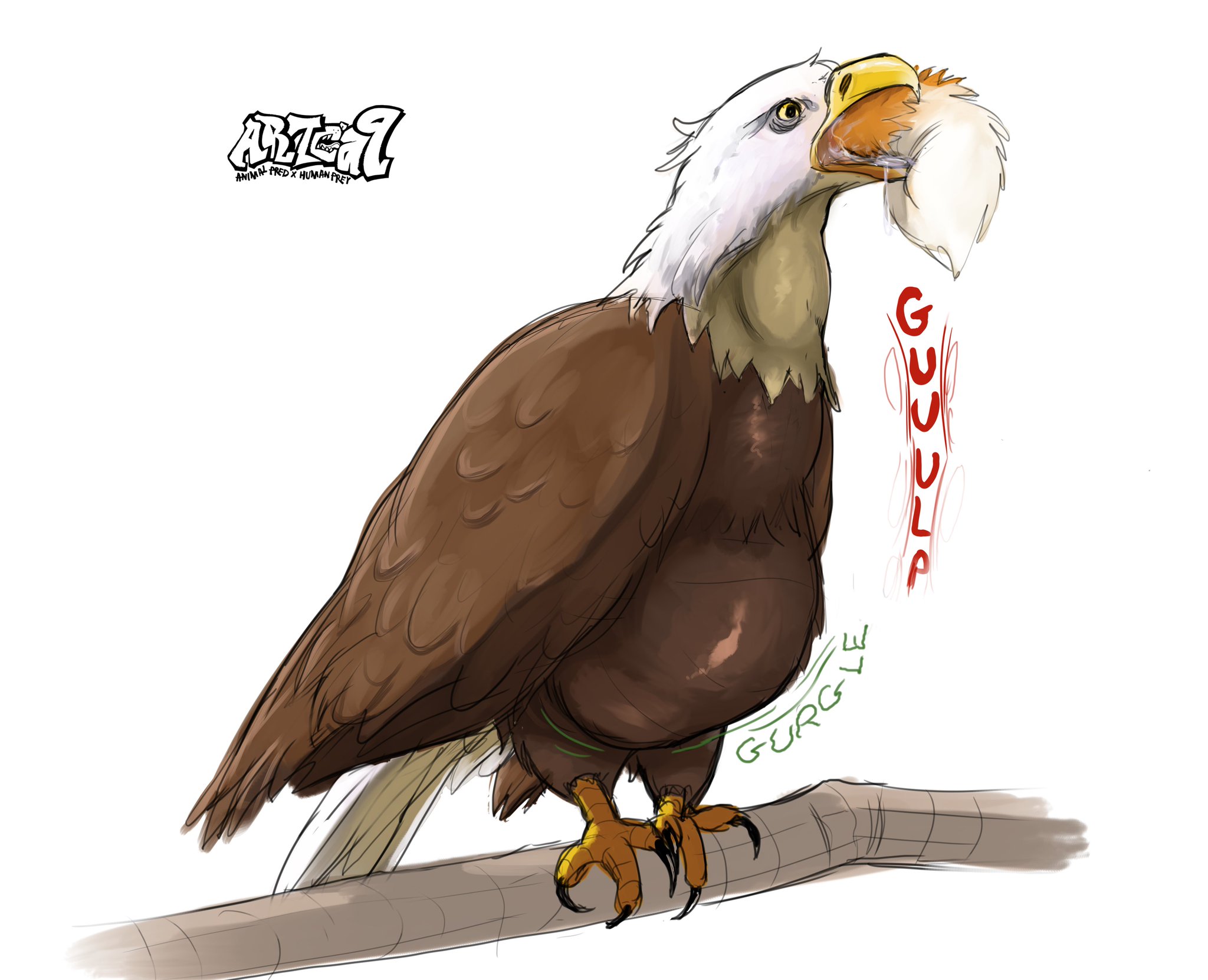 Artca9 (Vore Artist) on X: Patron sketch tier commission. First bird I  t.coPJpDlS1j1C can a bird represent freedom and imprisonment? Vore  of Eagle, CAAAAAAH CAH. Vore Discord: t.cohLg5tkxxs2 Patron  Content: t.coK32xgajnhX ...