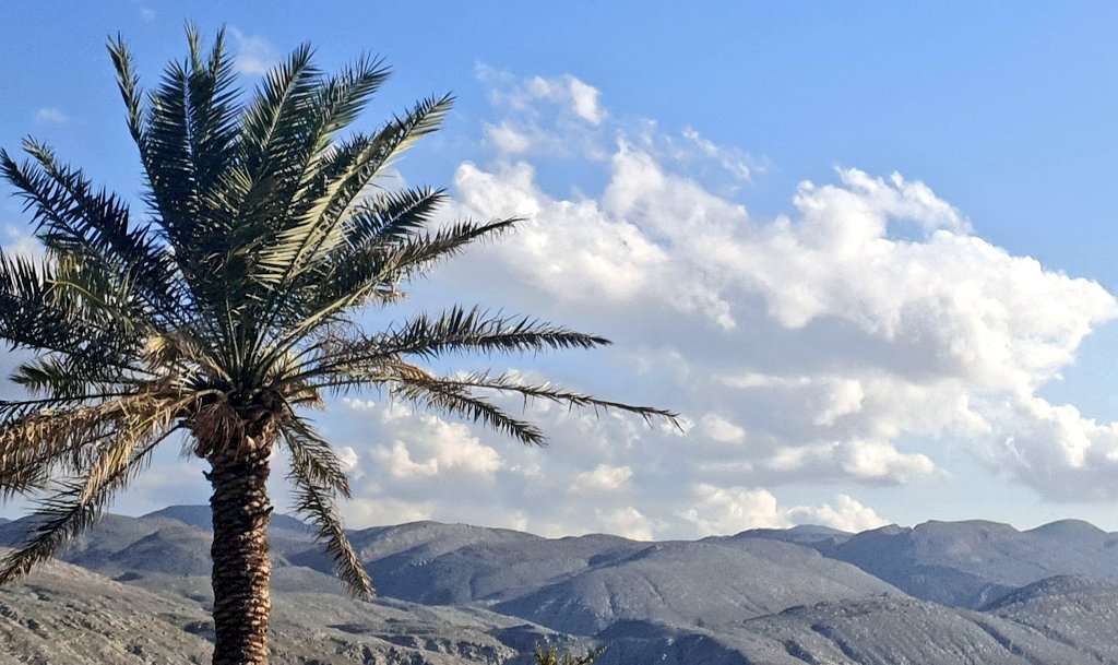 alshahi8's tweet image. تبتسم.. ولك حسنه
تمرض.. ولك أجر
تصبر .. ولك من بعد الصبر يُسر
تَحسن.. ولك ضِعف إحسانك..
      { لك الحمد يالله }