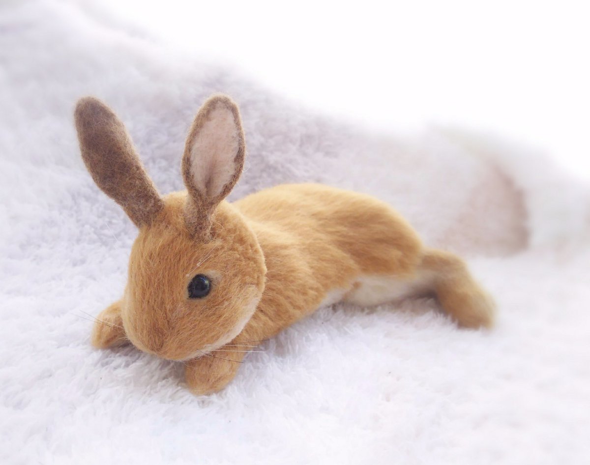Haruma S Rabbit على تويتر 寝そべるうさぎさんです うさぎの 首が 難しい ノd Creema うさぎ ネザーランドドワーフ うさぎ好きさんと繋がりたい ハンドメイド 羊毛フェルト もふもふ ぬいぐるみ 可愛い動物 T Co W86zisotln T Co Haruma S Rabbit على تويتر 寝そべるうさぎさんです うさぎの 首が 難しい ノd Creema うさぎ ネザーランドドワーフ うさぎ好きさんと繋がりたい ハンドメイド 羊毛フェルト もふもふ ぬいぐるみ 可愛い動物 T Co W86zisotln T Co