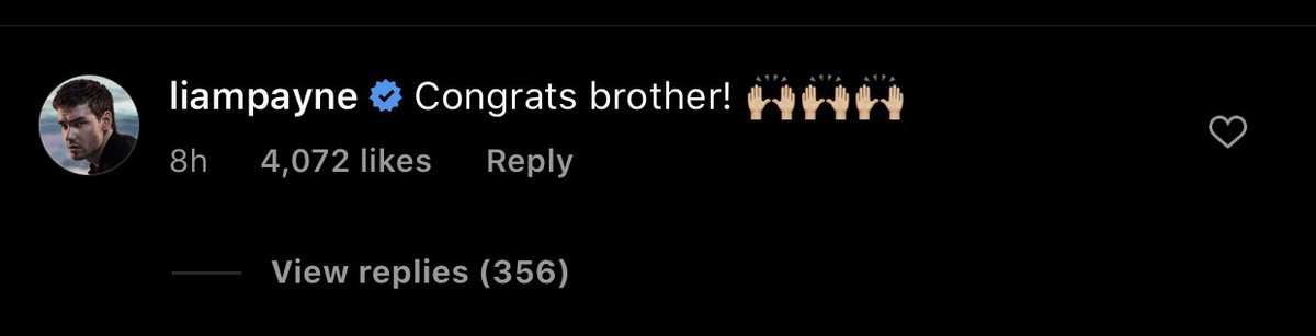 TheZiamNews's tweet photo. #IGActivity | @LiamPayne liked and commented under @Louis_Tomlinson’s latest IG post. https://t.co/Rl8YcMxR8y