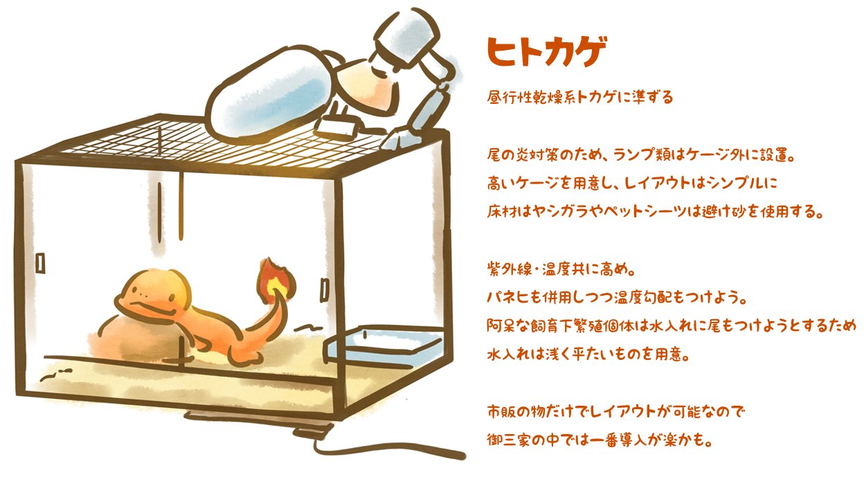 تويتر Stop Asian Hate على تويتر Le Hashtag Vivre Avec Des Pokemon A Donne De Bien Beaux Tweets Cote Japon Vous Ce Serait Quoi Votre Pokemon Compagnon Moi Clairement