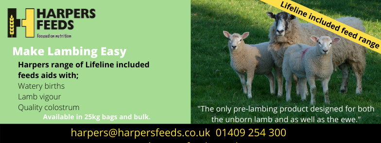 HarpersFeeds's tweet photo. We are the only feed manufacture to be able to include lifeline in your sheep feed, benefiting both the ewe and the unborn lamb.#lambing season @Rumenco. π01409 254 300 #focusedonewe #lambandewes #sheepfarming #lambingtime #focusedonsheepnutrition https://t.co/WTj9O9UIXJ