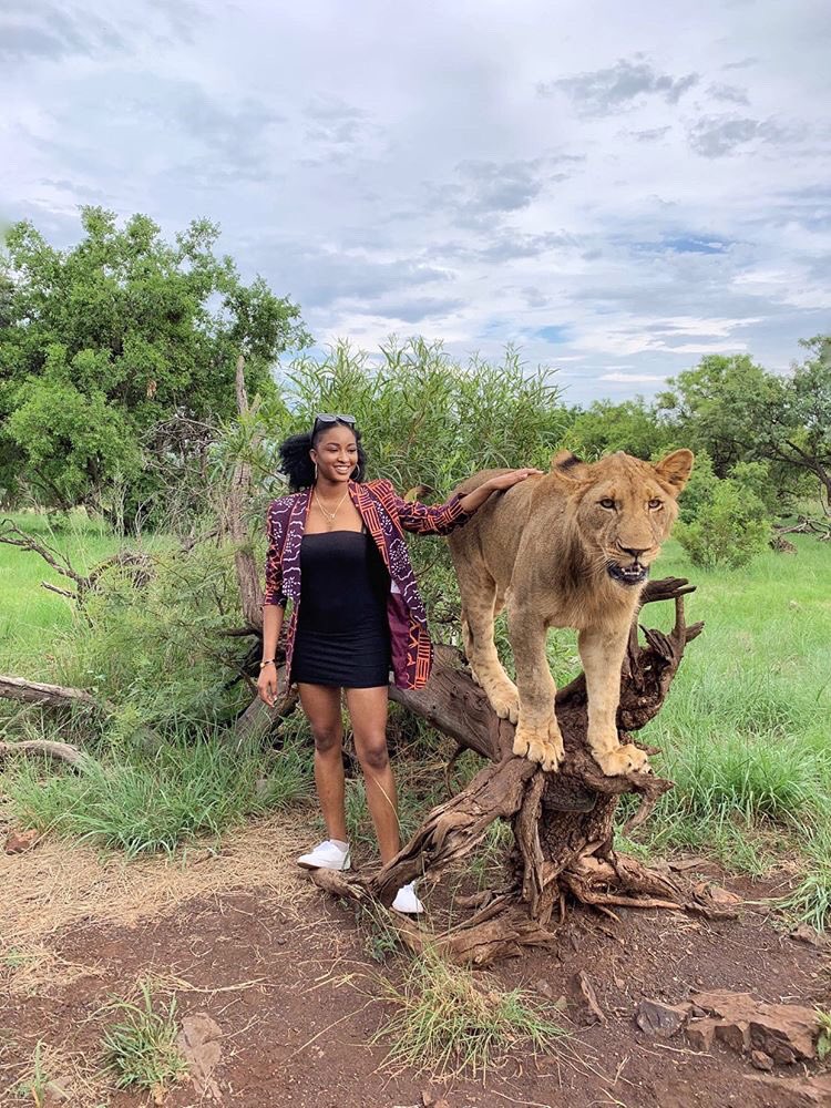 Wild animals can be less wild and more human than some humans in this world. 🤦🏻‍♀️😅😅

Guess the name of this animal?🤔🤔😉😅😅