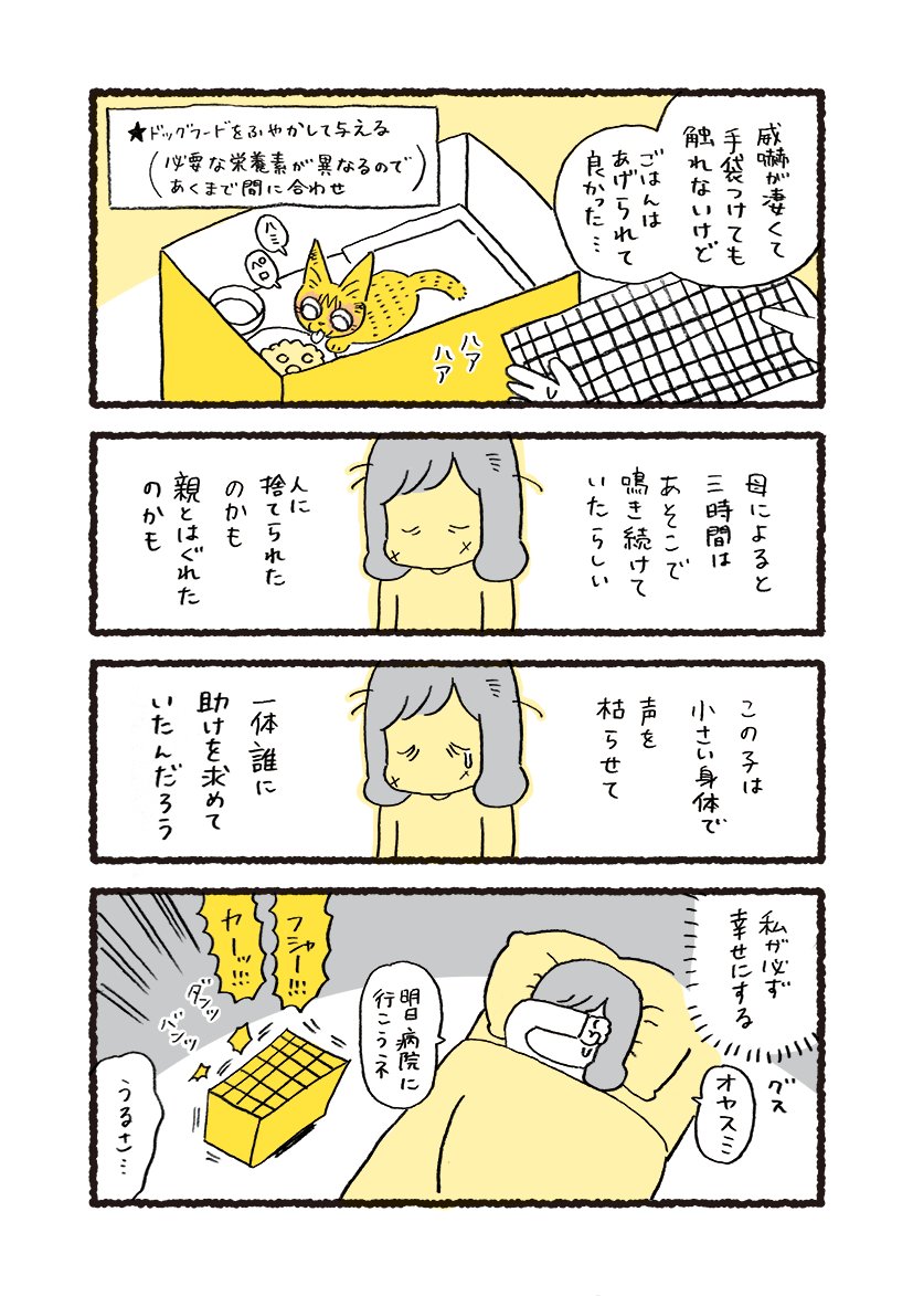 やっちゃんを保護した時の話 