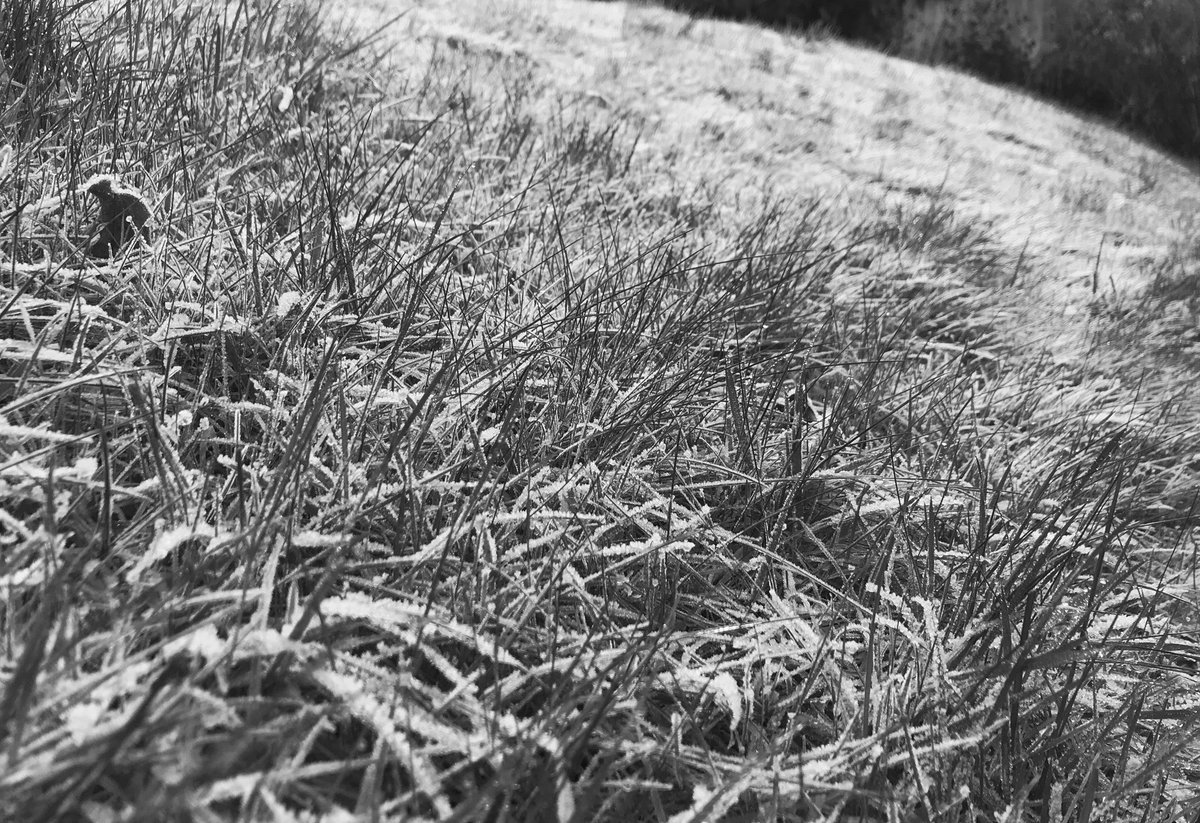 Brrrr bit parky at ours - roll on those warm bench summer days! ☀️ Crisp and clear or grey and wet...whats your preference? #January #crispmorning #frost #stroudlife