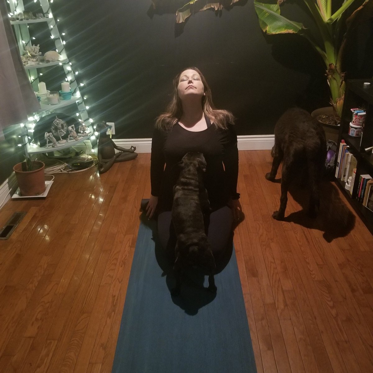 AmberTodd1921's tweet photo. Transformation Tuesday

There are three solutions to every problem: accept it, change it, or leave it. If you can't accept it, change it. If you can't change it, leave it.

#transformationtuesday #onwardandupward #highvibetribe #hamont #hamilton #hamiltonwellness #hamiltonyogi https://t.co/RVC6nOYGSA