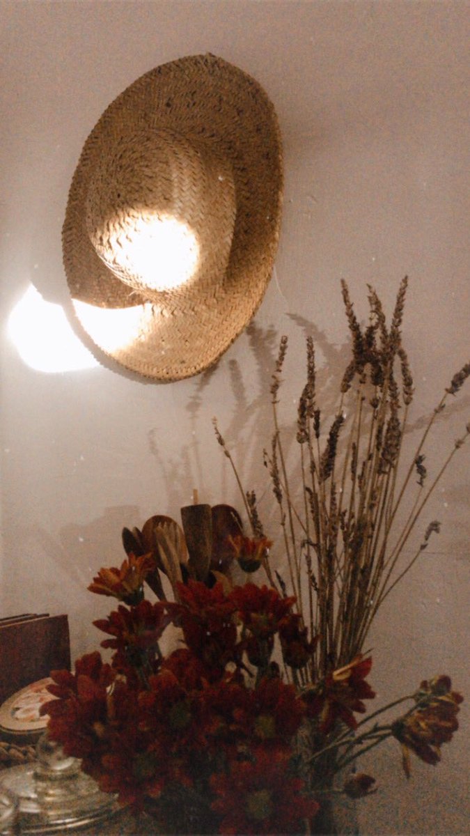 Ada cahaya mampir siang siang sehabis hujan di kamarku