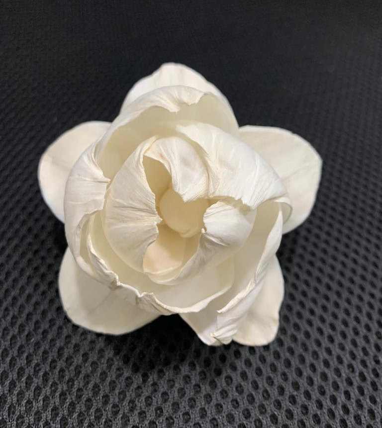 keenterprises's tweet photo. Excited to share the latest addition to my #etsy shop: Sola Wood Flower KUNZIA (For 500 flowers) - MOQ 10 in mixing quantity https://t.co/UoTThF9cFL #weddings #bouquet #white #solaflowers #woodflower #solawoodflower #dryflower #tapiocaflower #balsawoodflower https://t.co/hFjCCZghbb