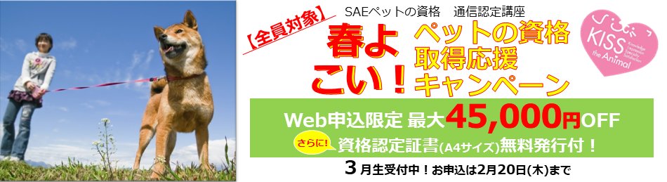 最高かつ最も包括的な全日本 動物 専門 教育 協会 すべての動物画像