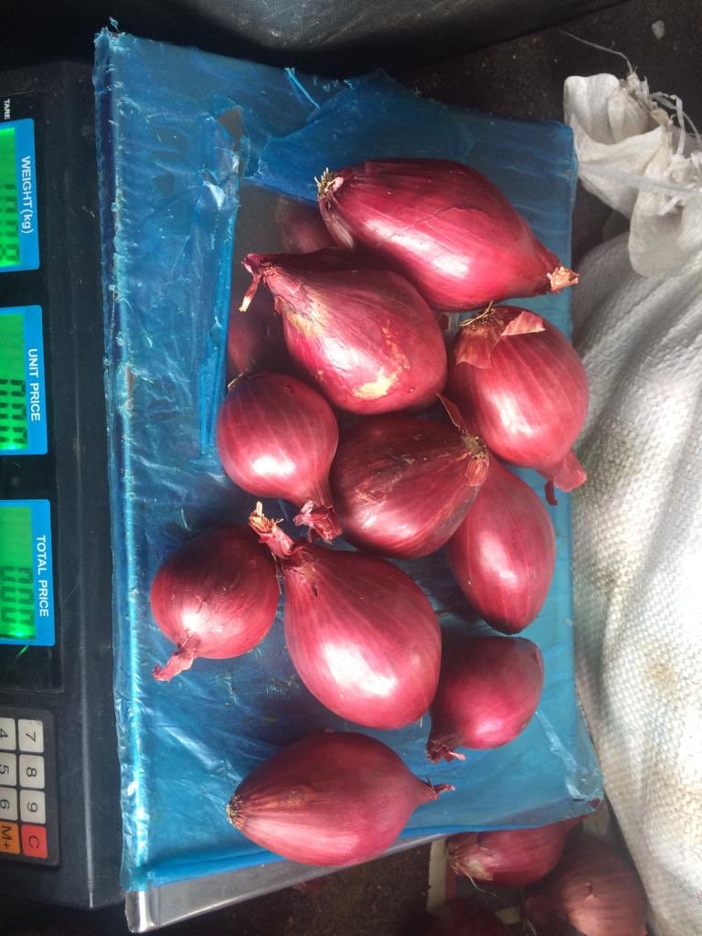 nkosig3's tweet photo. Selling red onions at 20 bond per kg in harare.. all methods of payment accepted.. I deliver in town...0776596743 app.0776596743 calls.. https://t.co/Cxr1P5vFRC
