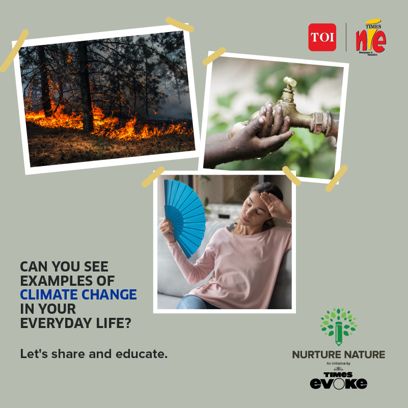speakingtree's tweet photo. From extreme temperatures to rising pollution, climate change is all around us! 

What are some examples of climate change that you can see in our everyday life? Tell us in the comments below! https://t.co/CWYRxmfmf8