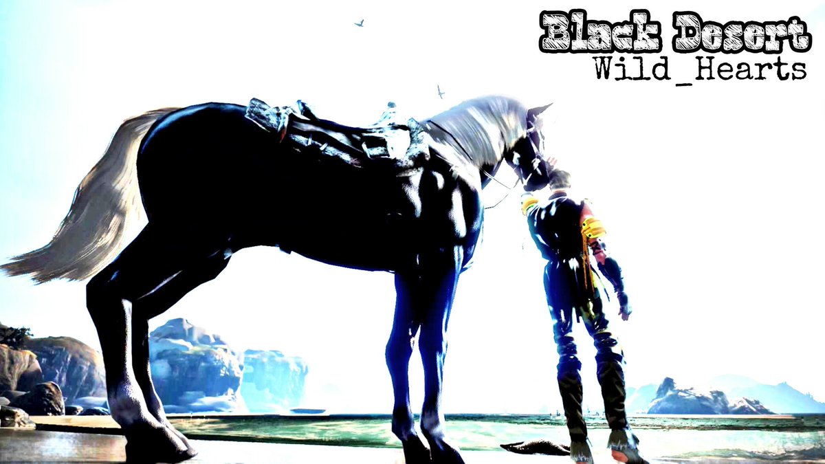 Uzivatel しろたん Miho Rin Na Twitteru 馬は松風と黒雲と雷光 黒い砂漠 Ps4 黒い砂漠 Blackdesert Blackdesertonline