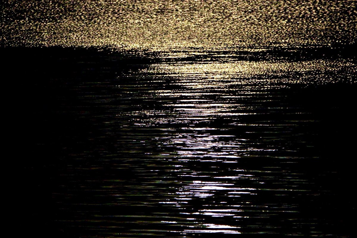 You Always Have A Heart Of Gold