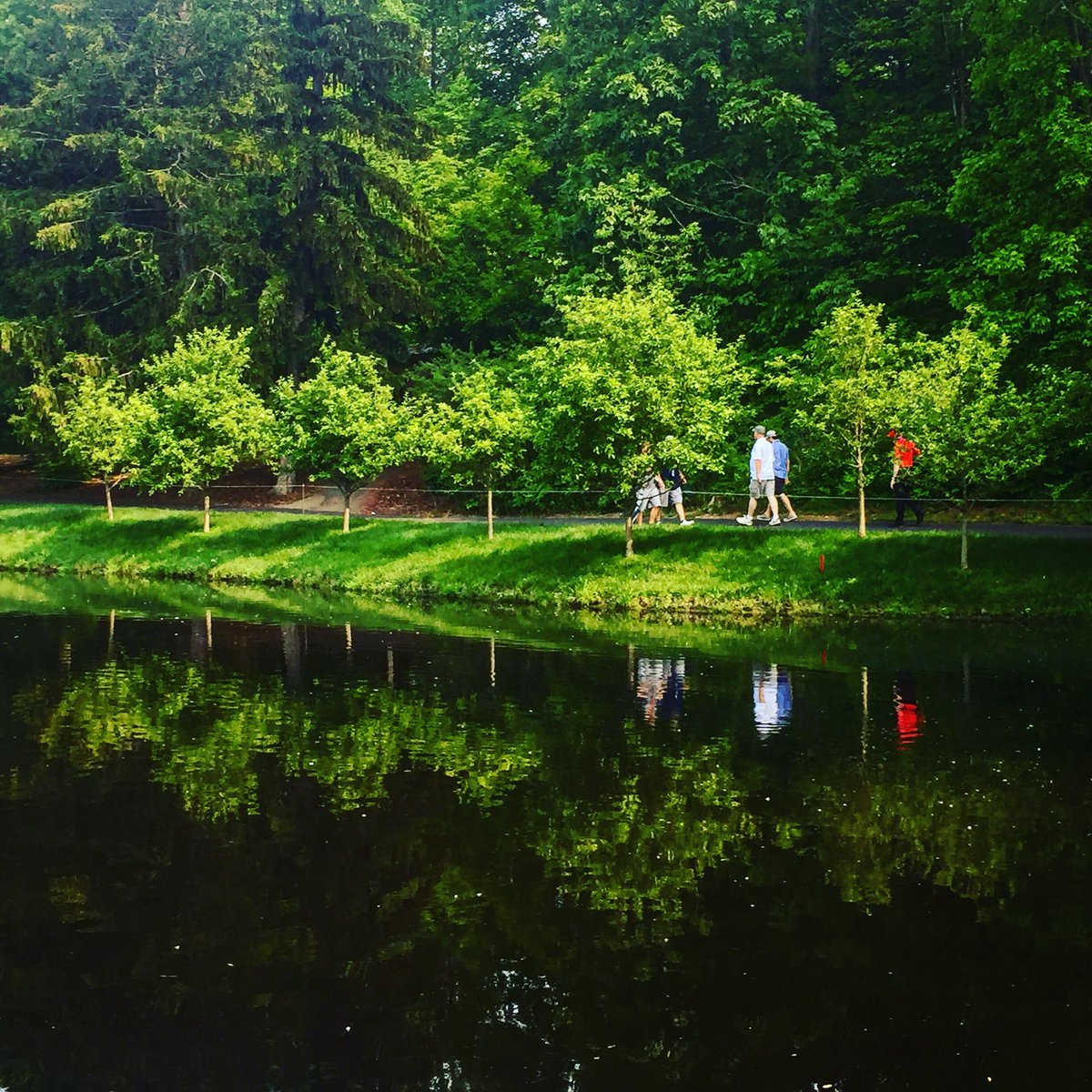ROpatich's tweet image. FoTo oF tHe DaY taKen bY Me: 2019 In Review...Pond Reflection [June] (Columbus, Ohio) 21/31 #2019InReview
#PondReflection
#Pond
#Reflection 
#Walking
#DublinOhio
#Dublin
#Ohio
#PhotooftheDay
#TravelPhotography
#TravelPhotographer
#photography
#Photographs
#photo