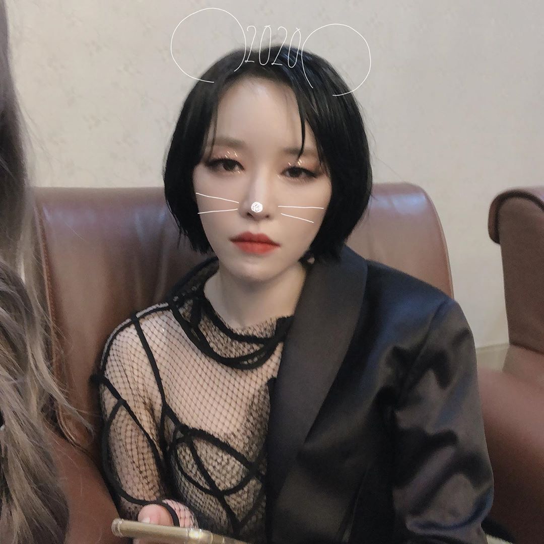 새해복마니받으세욥!