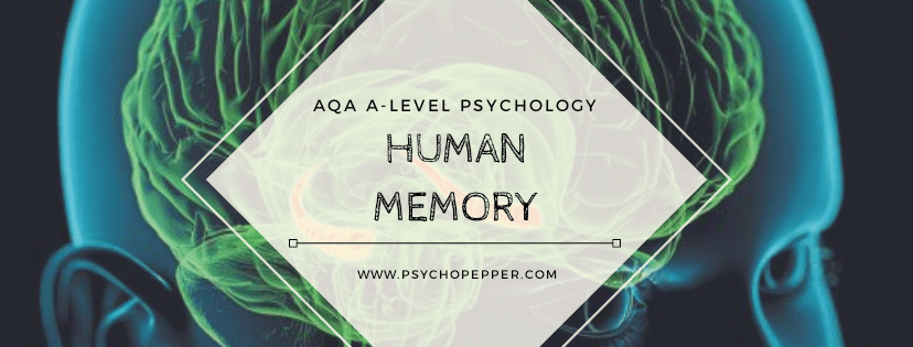 PsychoPepper's tweet photo. Diagnosis, Therapy, Test – Marking Feedback: Memory https://t.co/Z0241pedPC https://t.co/BSdvH9kswe