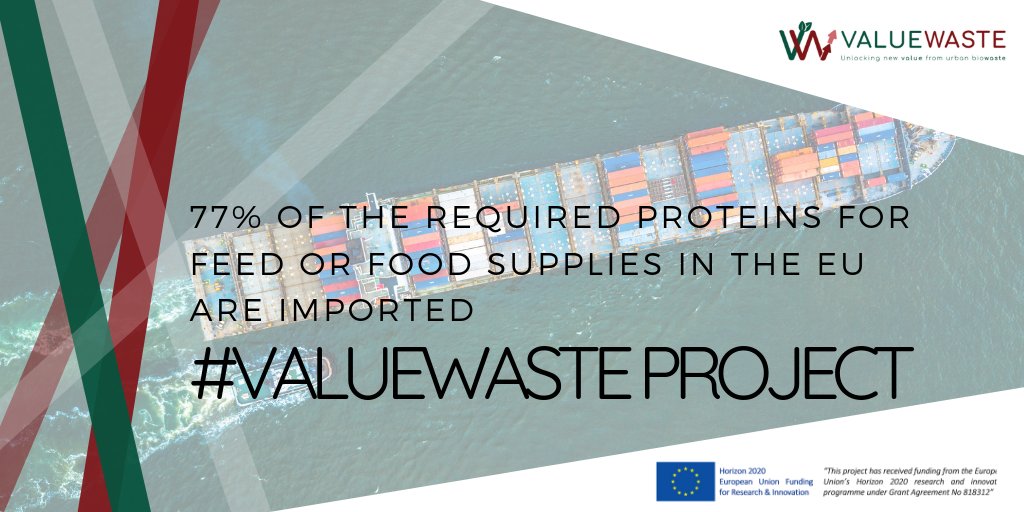 The #EU imports 77% of the required #proteins for #feed or #food supplies.
Let's find alternatives: valuewaste.eu

#ValueWaste #ValueWasteProject #Alternativeproteins #CircularEconomy #Bioeconomy #Biowaste #Biomass #urbanbiowaste #foodingredients #fertilisers
