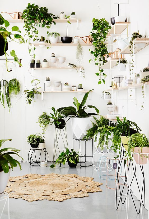 ECacti_'s tweet photo. I will name my daughters after every plant i ever loved and they will be just as beautiful.🌵😍 This is LOVE in its purest form.❤️ https://t.co/kE44PVyBlB