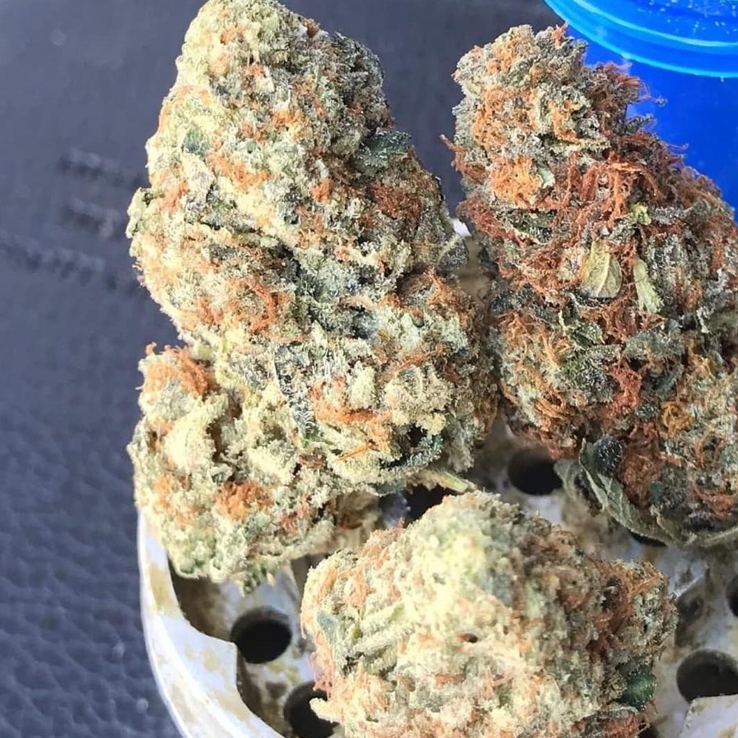 Kingweedfr2's tweet photo. Whatsap uniquement : +33 6 44 69 69 52
📲wickr /kingweedfr 
#paris,#parisjetaime,#parisian,#parisfashionweek,#parisienne,#paris??,#parismonamour,#parismaville,#parisbynight,#parisphoto,#parisianlife,#parishilton,#pariscartepostale,#parisien,#parisfashion,#parisianstyle https://t.co/kffxkPZU1r