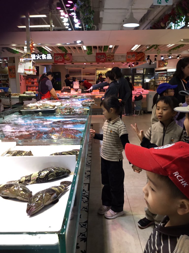 rocelesz1's tweet photo. We visited the grocery store and the wet market. It was a wonderful way to connect with community helpers in Ma On Shan. It also made us think more deeply about the journey of our food. #rchkpyp #farmtotable https://t.co/vfTtudq8gw