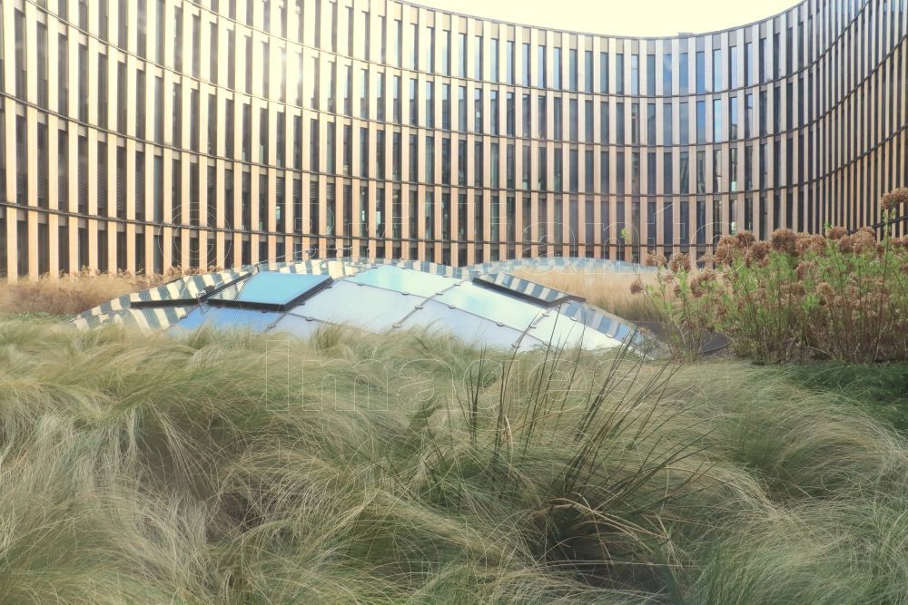 #openaccess science paper

#Greenroofs and Greenpass ~  #casestudy &amp;  #greenroof project in #Antwerp, #Belgium

buff.ly/36JFpqJ

#urban #greeninfrastructure 
#climatechange #resilience
 <a href="/MainstreamGI/">Mainstreaming GI</a> <a href="/dtdchange/">Doing Things Differently</a> e <a href="/greenroofs/">Greenroofs.com</a> <a href="/greenroofsuk/">dusty gedge</a> <a href="/GRHCna/">Green Roofs for Healthy Cities</a> <a href="/BuildingGreen1/">Building Green</a>