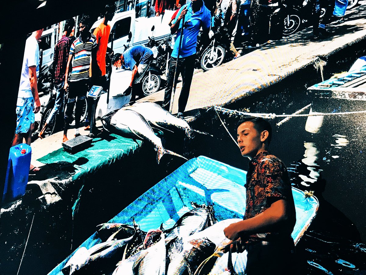 Cruz Erdmann presenting at Davos.