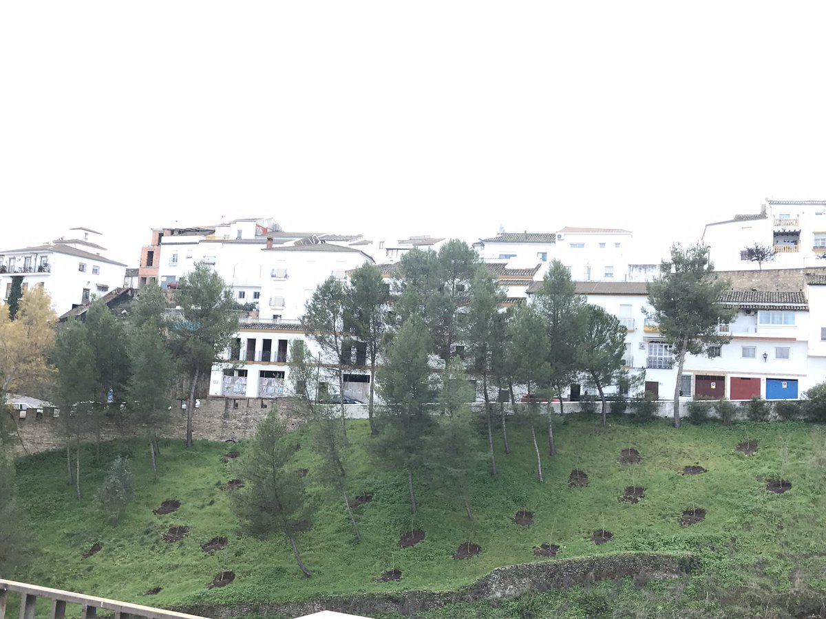 El Ayto de Setenil está trabajando en la repoblación de almendros en varias zonas de la localidad. Cantarería alta y baja, así como Urbanización Jardines "El Alambique" serán las zonas donde irán destinados. <a href="/diputacioncadiz/">Diputación de Cádiz</a> <a href="/CadizJunta/">Cádiz Junta</a> <a href="/LosPueblosmbe/">Pueblos más bonitos</a> <a href="/MedioAmbAND/">Consejería de Sostenibilidad y Medio Ambiente</a> 
#Setenilverde