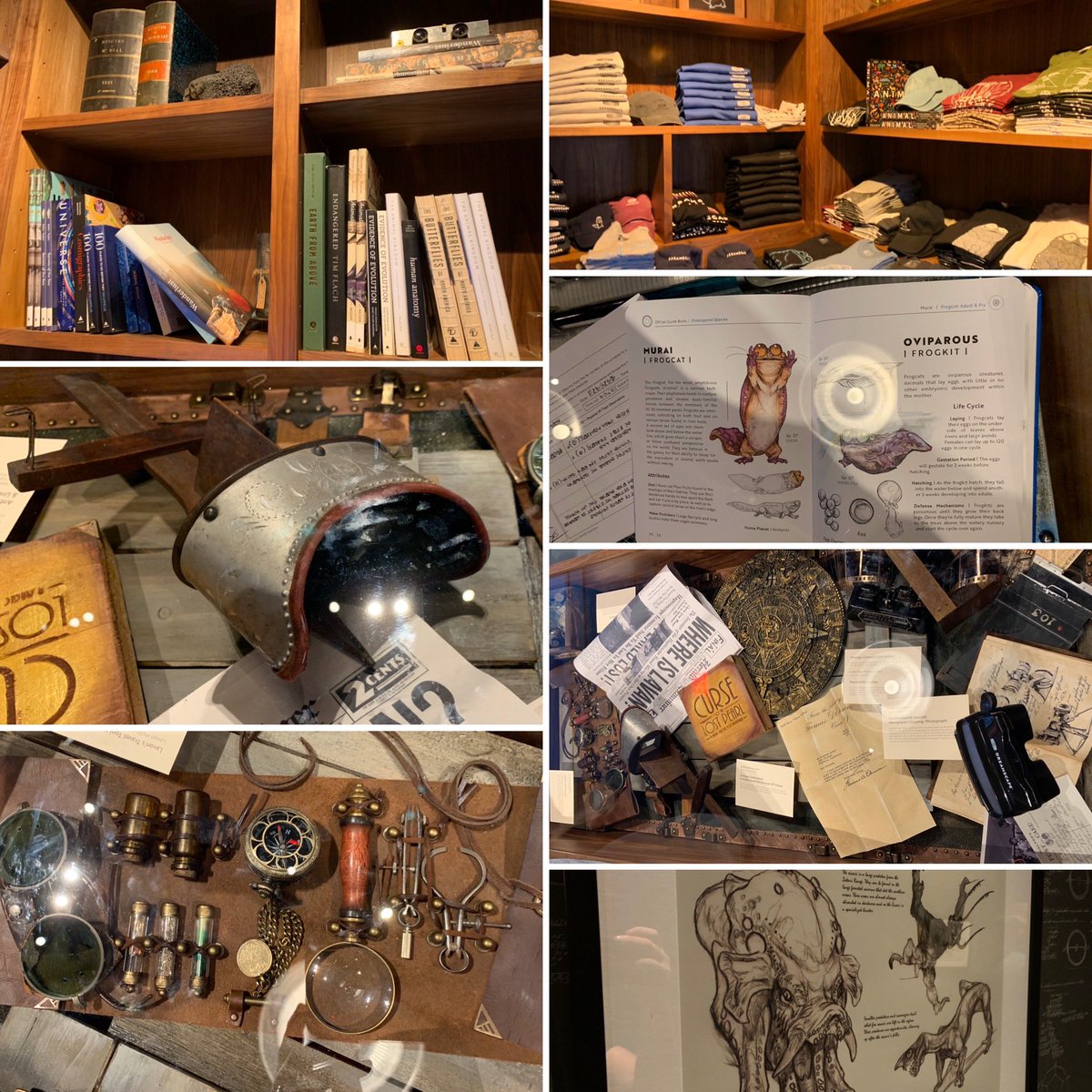 b4olivas's tweet photo. Finally went to @VisitDreamscape! Having worked in the #LBE space, I loved how the world-building started before the HMD. #VR LBE spots often neglect the atmosphere of the physical space. Alien Zoo was great. Canβt wait to go back π€ #dreamscapevr #frogcats #alienzoo https://t.co/YksFVAUKCy
