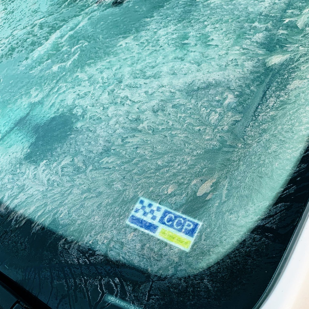 CCP: SHOP tweet media