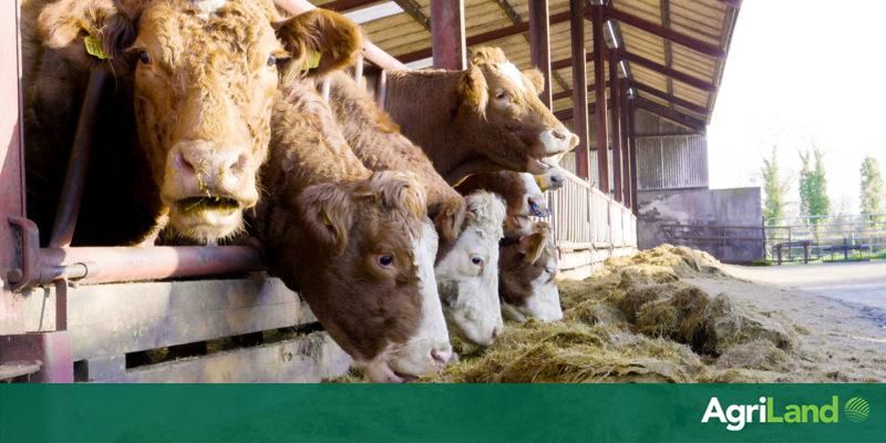 Cutting greenhouse gasses emissions in #farming linked with profitability. 
buff.ly/30F4zEP #sustainability