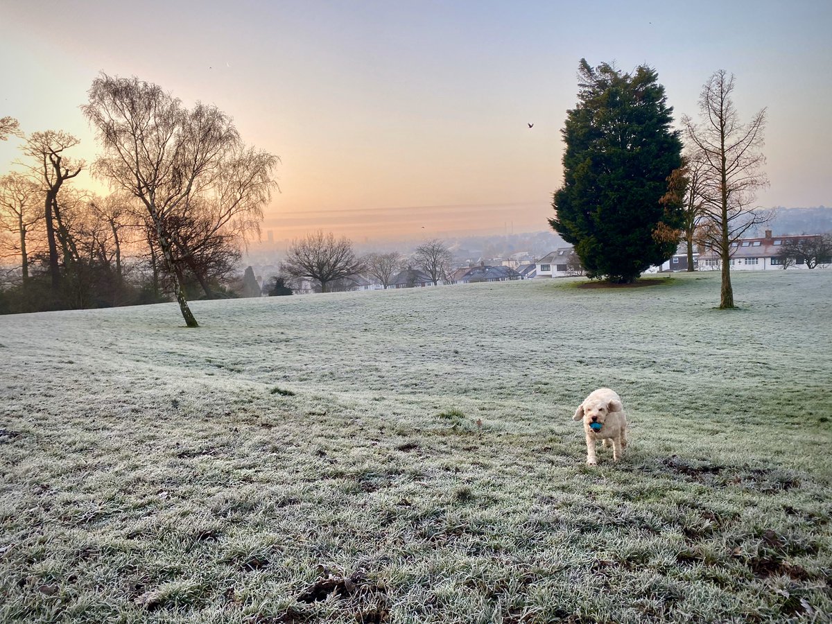 PCol42's tweet photo. Beautiful crisp start to the day ❄️ https://t.co/h0xK2hQ84z