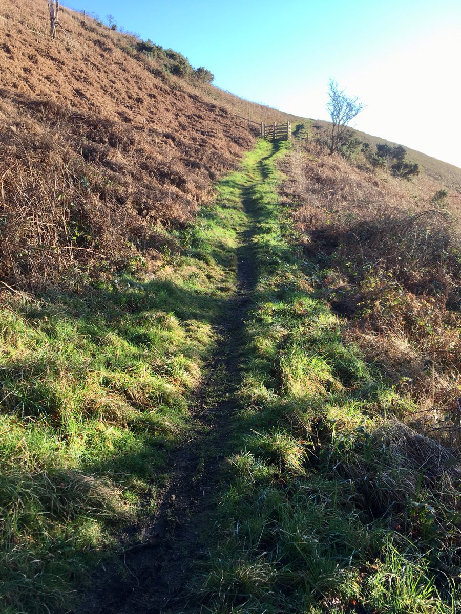 alwyndempster's tweet photo. Sun, gates and MUD yesterday, thanks to David Berry!🙂https://t.co/AEYC9zy0Z4

#walk1000miles #denbighshire @DiscoverDenbs
@countrywalking @WalkNorthWales @nwalestweetsuk
@ClwydianRambler @GoNorthWales @OnlyNorthWales
@NthEastWales @visittherange @OffasDykePath @RamblersCymru https://t.co/OXXEvVJ4dz