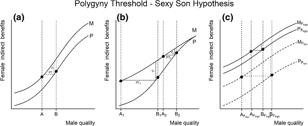 TMTSpringer's tweet photo. Neglected role of individual variation in sexy son hypothesis π¦https://t.co/3i84r6ldlVπ¦ #SNEVEC #EvolutionaryEcology #SpringerNature #sexysonhypothesis #polygyny #sexualselection #matingsystemevolution #polygamy #polygynoussons #piedflycatcher #Ficedulahypoleuca @evoecology https://t.co/B8qzaXaxE8