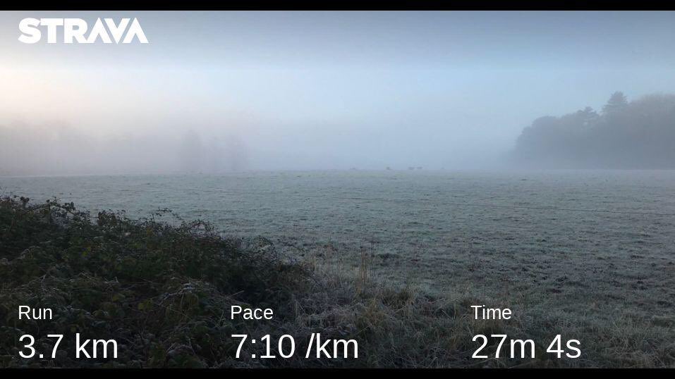 FELTbyFI's tweet photo. DAY TWENTY ONE #grtwrunuary #grtwrunuary2020 ⁦@GRTWUK⁩ beautiful morning mist https://t.co/3DGwwHL108